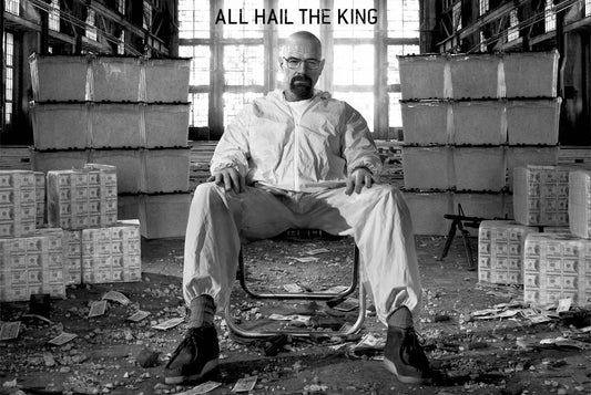 Breaking Bad Poster 24X36: Cardboard Back & ClearBag