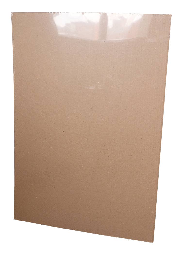 Sonic the Hedgehog – Go Faste Poster: Rolled & Labeled