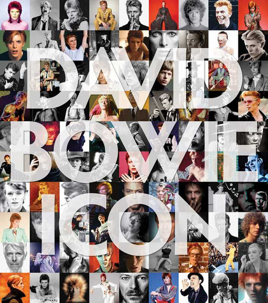 David Bowie: Icon by: Hardcover; 356 pages / English