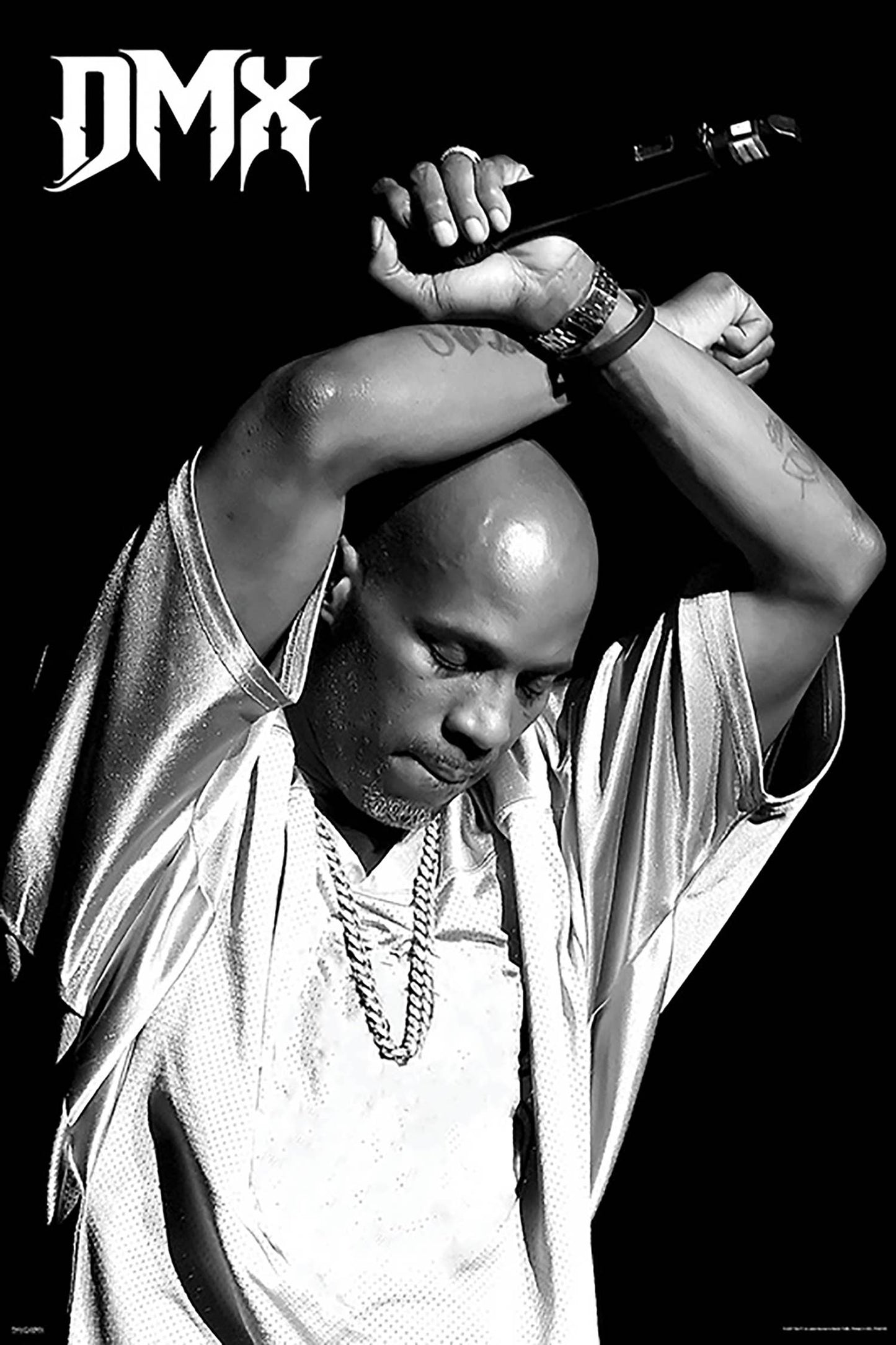 DMX - Crossed Arms Poster: Shrinkwrap